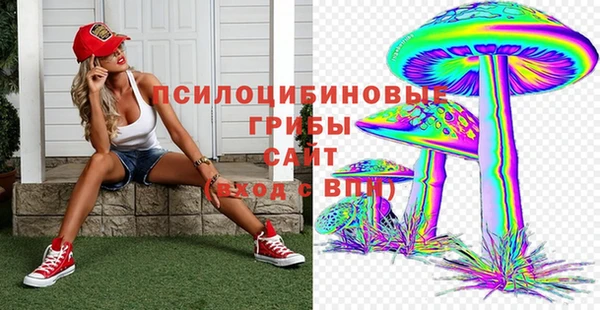 сатива Алексин