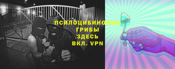 прущие крисы Алексеевка