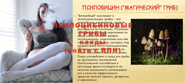 кокаин премиум Приозерск