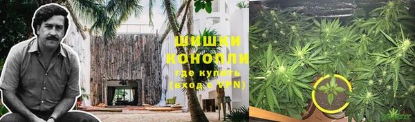амф Алзамай