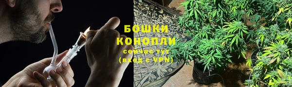 сатива Алексин